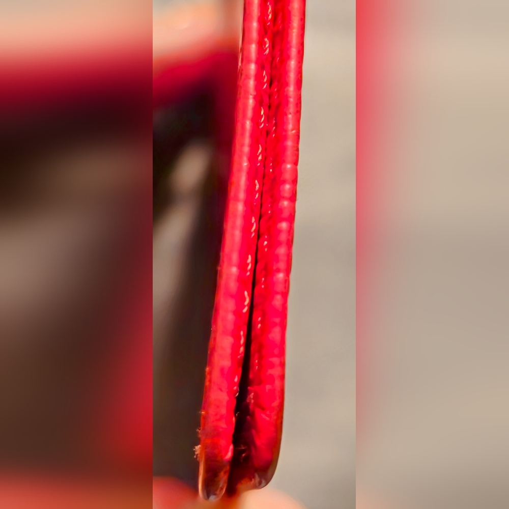 Louis Vitton red epi card holder - Picture 3 of 5